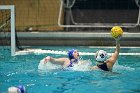 WWPolo vs CC  Wheaton College Women’s Water Polo compete in their sports inaugural match vs Connecticut College. - Photo By: KEITH NORDSTROM : Wheaton, water polo, inaugural